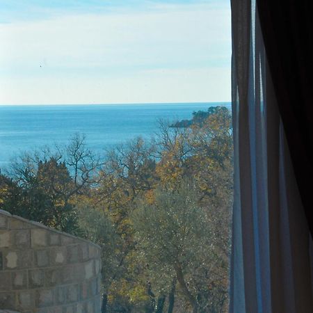 St.George Apartments Petrovac Rum bild
